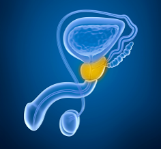 Prostatitis és kenés Fitoterápia krónikus prosztatitisben