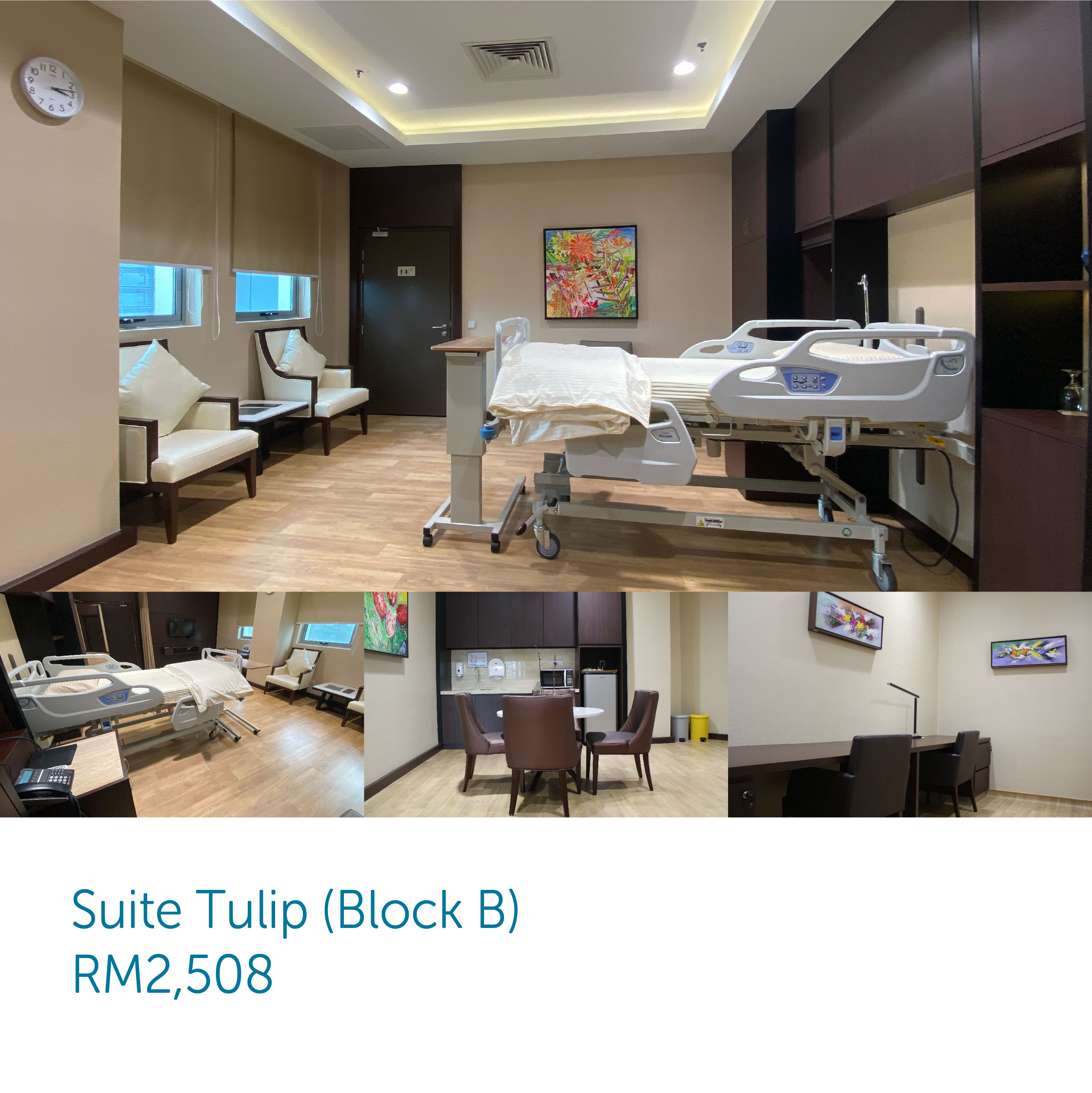 Gleneagles Hospital Kuala Lumpur Tulip Suite