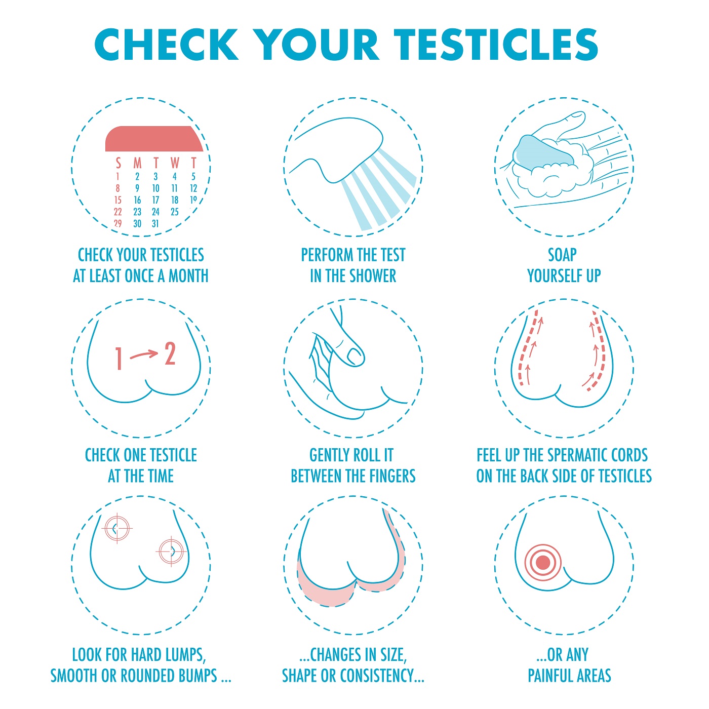 self-check testicular cancer steps image